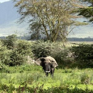 10 Interesting Facts About Tanzania, Mount Kilimanjaro, And The Serengeti