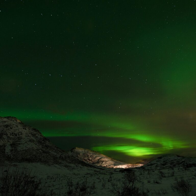 The Northern Lights