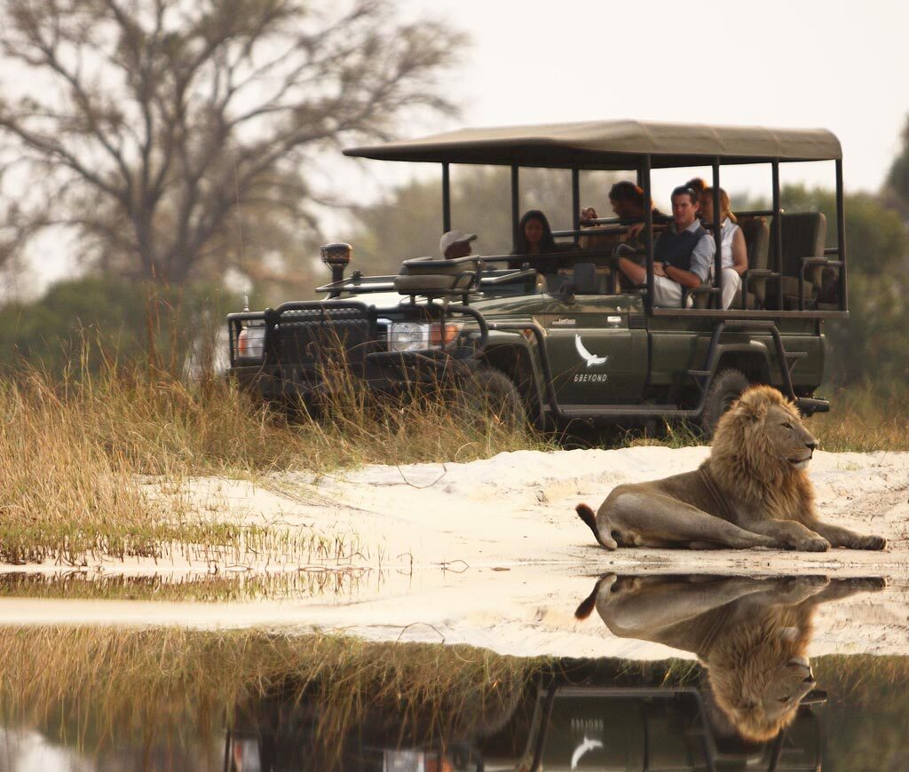 Itineraries 5 Star Botswana Safari Adventure