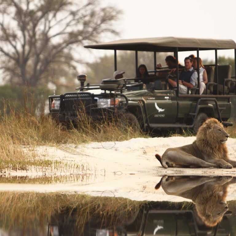 Itineraries 5 Star Botswana Safari Adventure