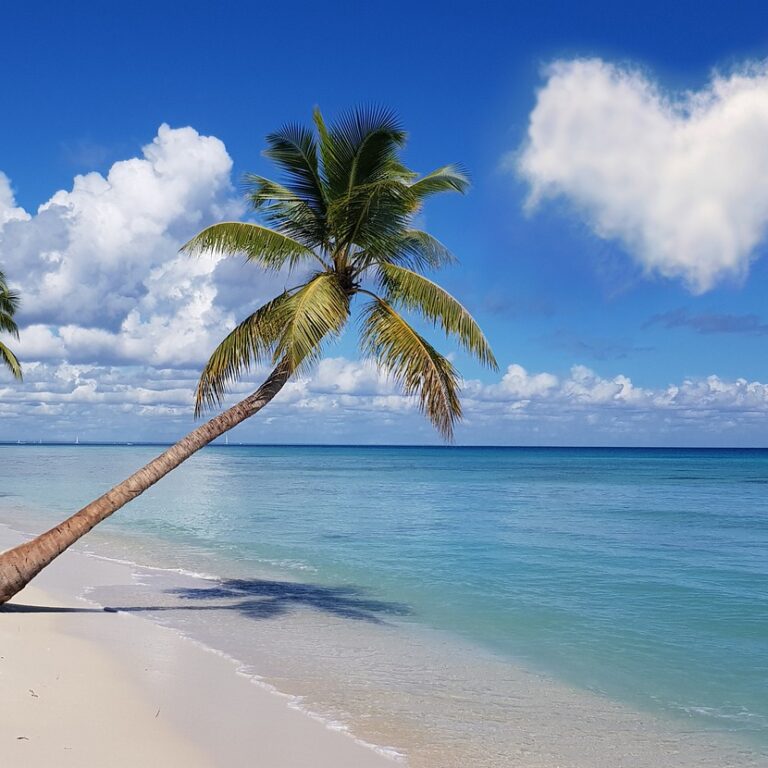 beach, coconut trees, sea-7059537.jpg