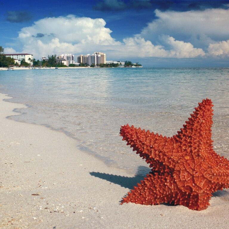 starfish, nature, sand, bahamas, nassau, sea, tropical, caribbean, turquoise, resort, landscape, water, sky, shore, marine, beach, bahamas, bahamas, bahamas, bahamas, bahamas