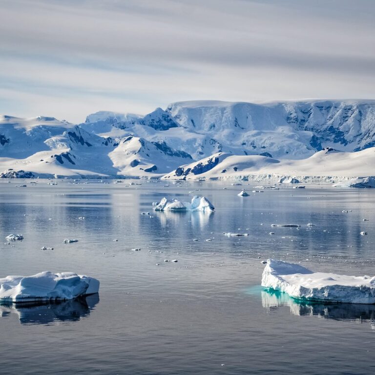 winter, landscape, nature, ocean, water, ice, snow, iceberg, antarctica, antarctica, antarctica, antarctica, antarctica, antarctica